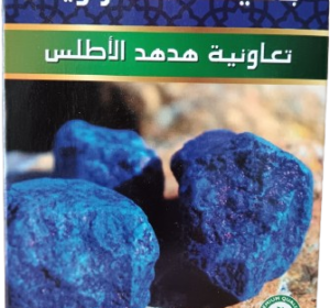 Henna natural con nila azul